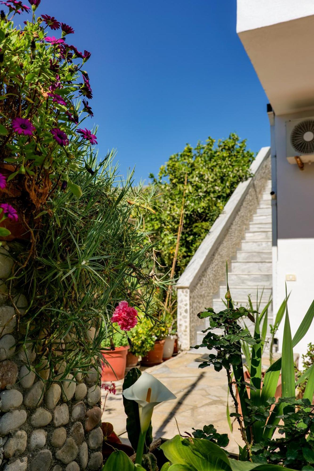 Hotel Billy Himare Exterior photo